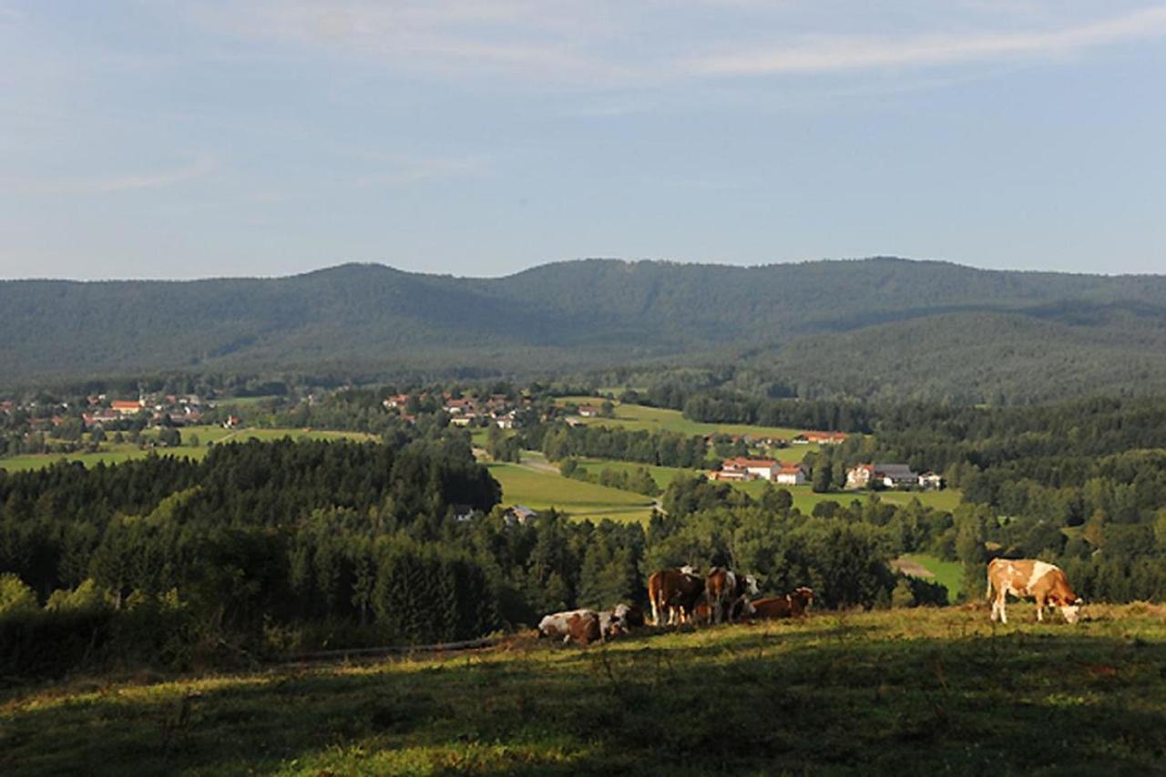 Exenbacher Hof - Pension Arnbruck Exteriér fotografie